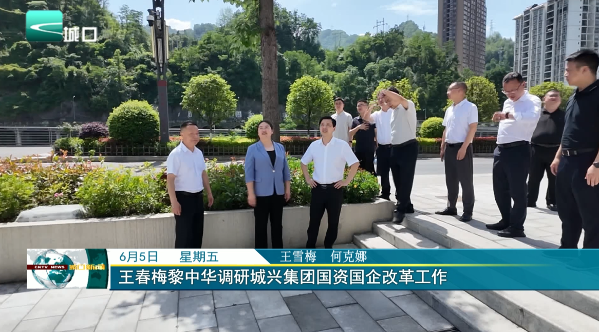 王春梅黎中华调研城兴集团国资国企改革工作