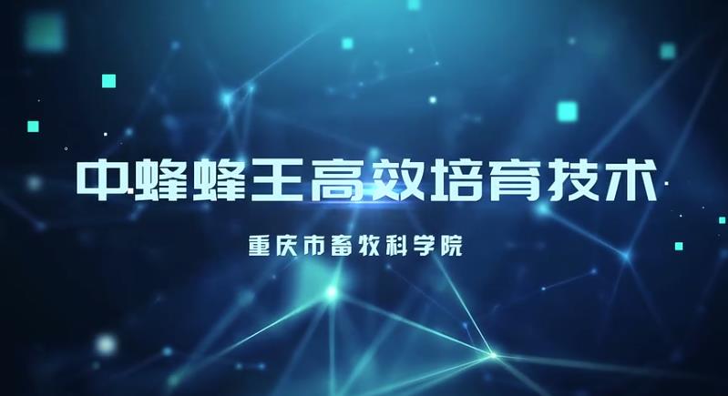 【农技慕课】《中蜂蜂王高效培育技术》第一节