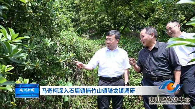 马奇柯深入石墙镇楠竹山镇骑龙镇调研