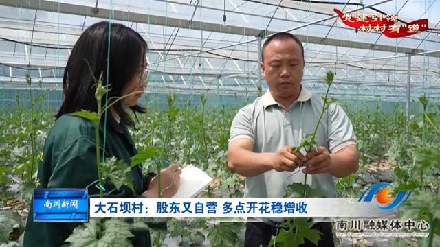 《党建引领 村村有“道”》大石坝村：股东又自营 多点开花稳增收