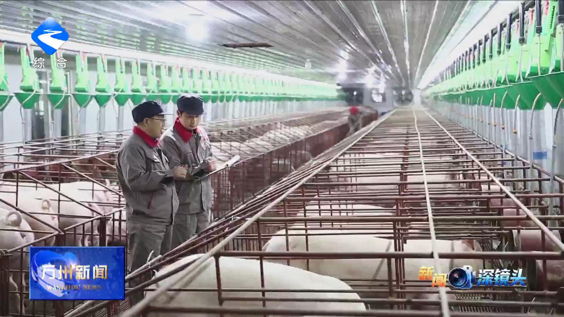 【新闻深镜头】科技赋能山地农业 绘就乡村振兴新图景