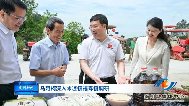 马奇柯深入木凉镇福寿镇调研