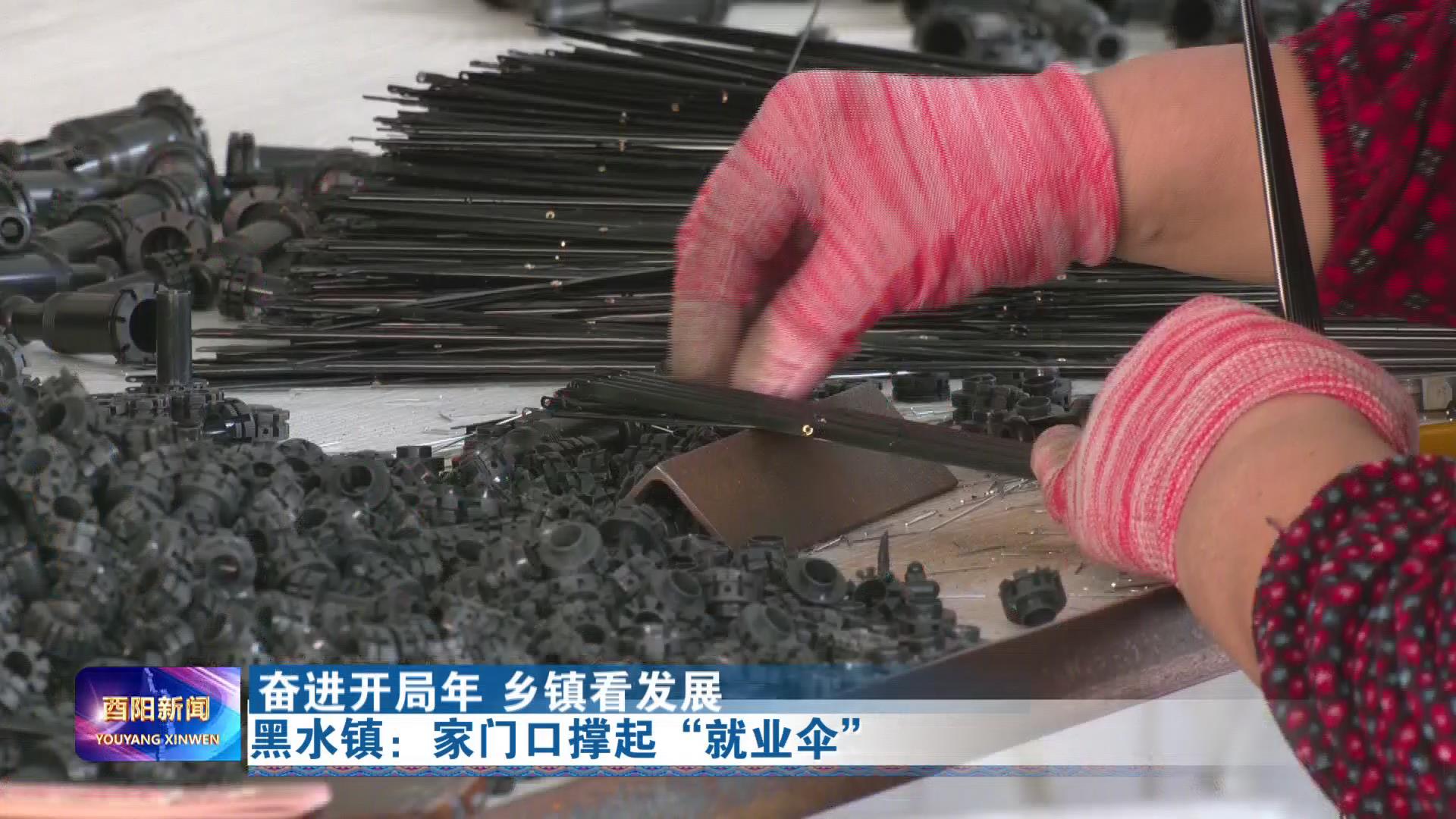 黑水镇：家门口撑起“就业伞”