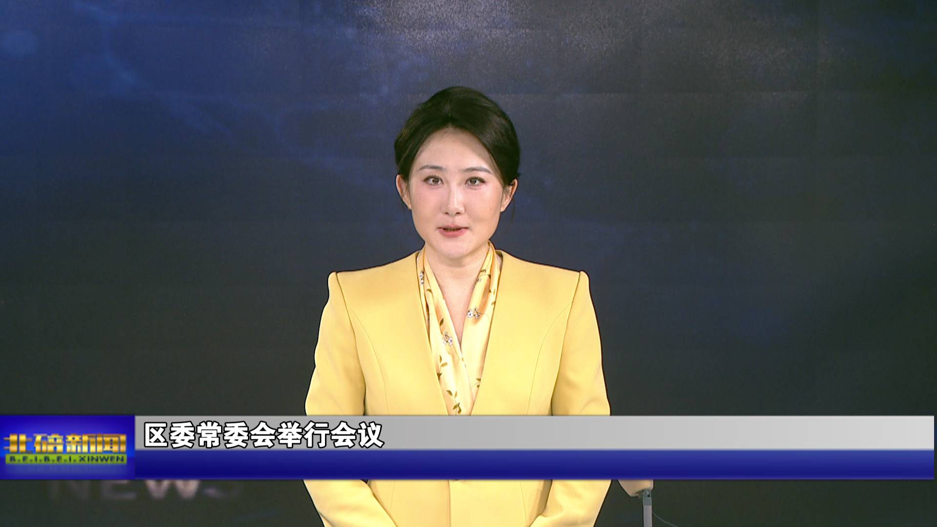 区委常委会举行会议