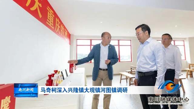 马奇柯深入兴隆镇大观镇河图镇调研