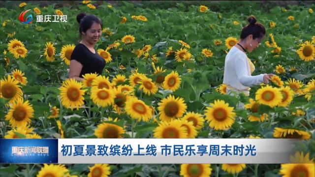初夏景致缤纷上线 市民乐享周末时光