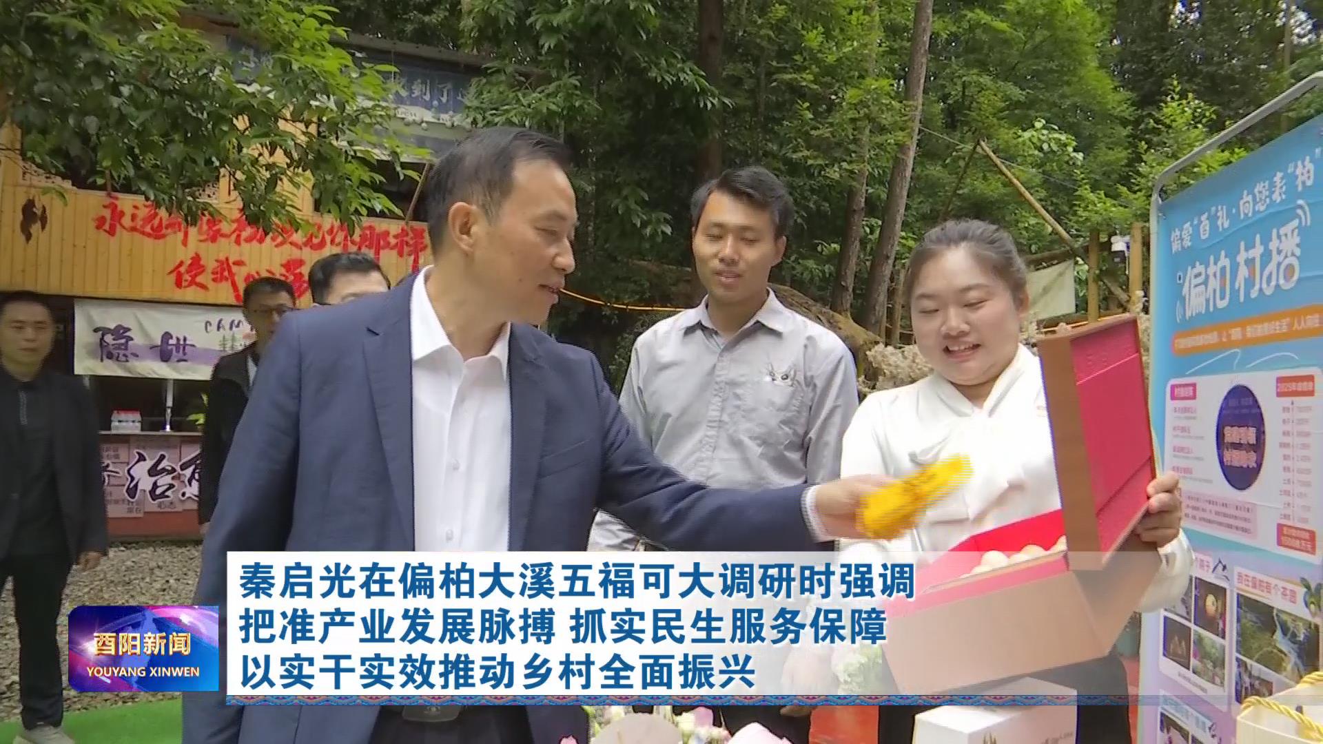秦启光在偏柏大溪五福可大调研