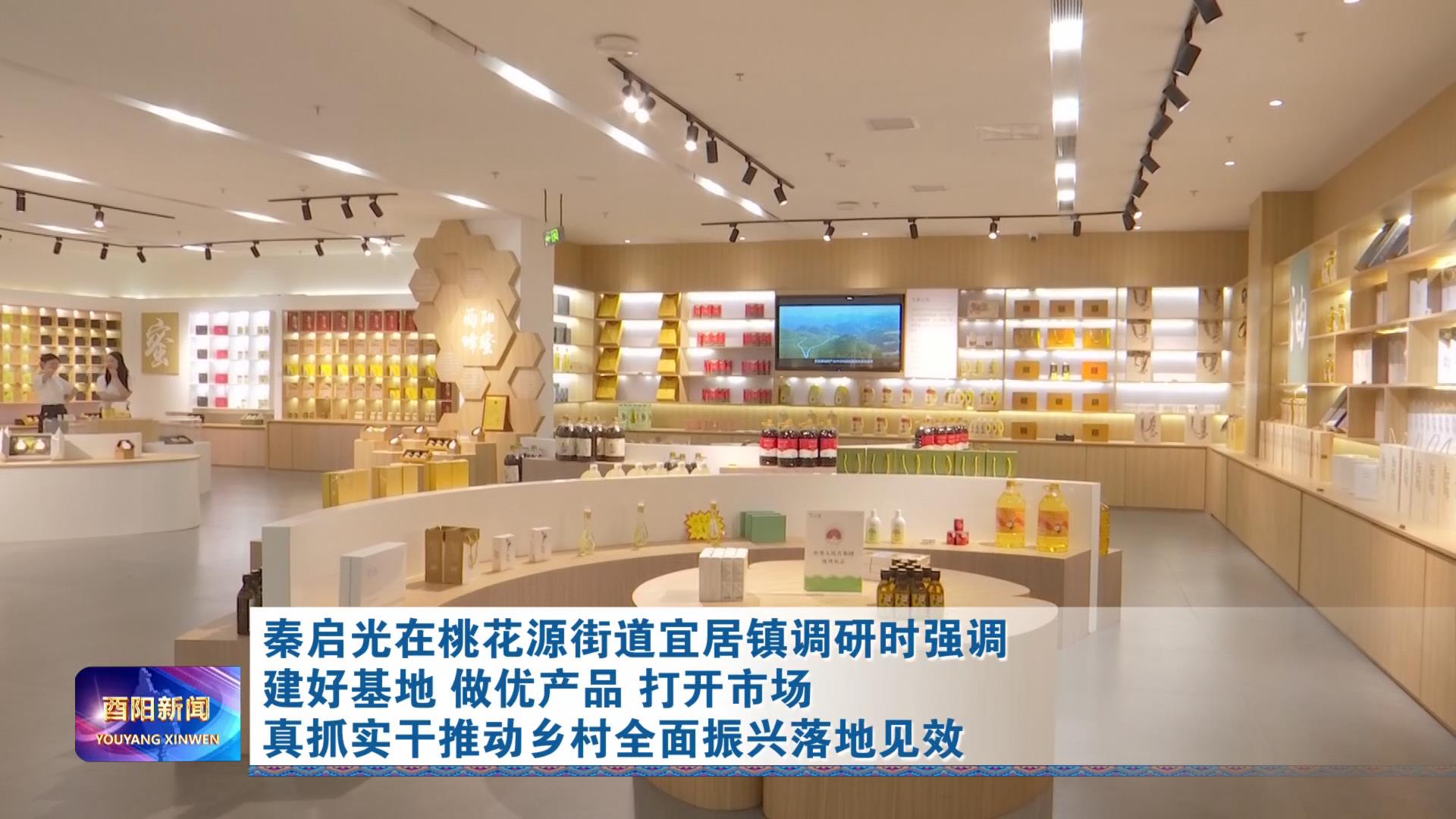 秦启光在桃花源街道宜居镇调研