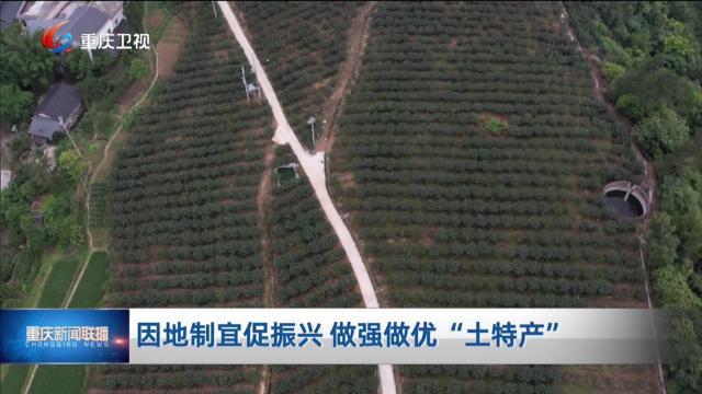 因地制宜促振兴 做强做优“土特产”