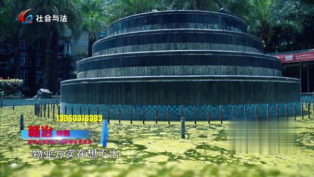 凌晨水池的“命案”