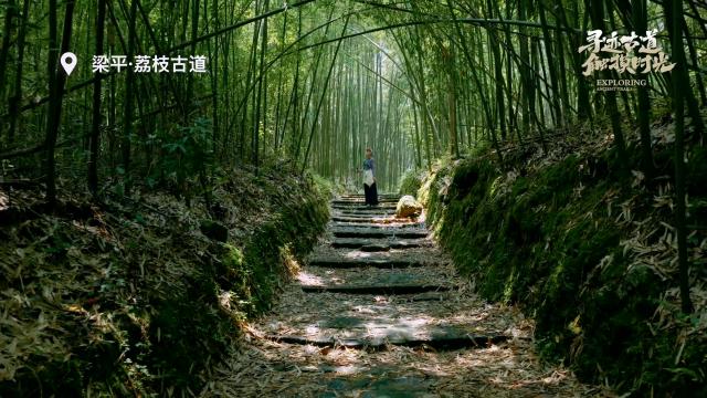 这一次我们徒步梁平，触摸古道岁月的风华
