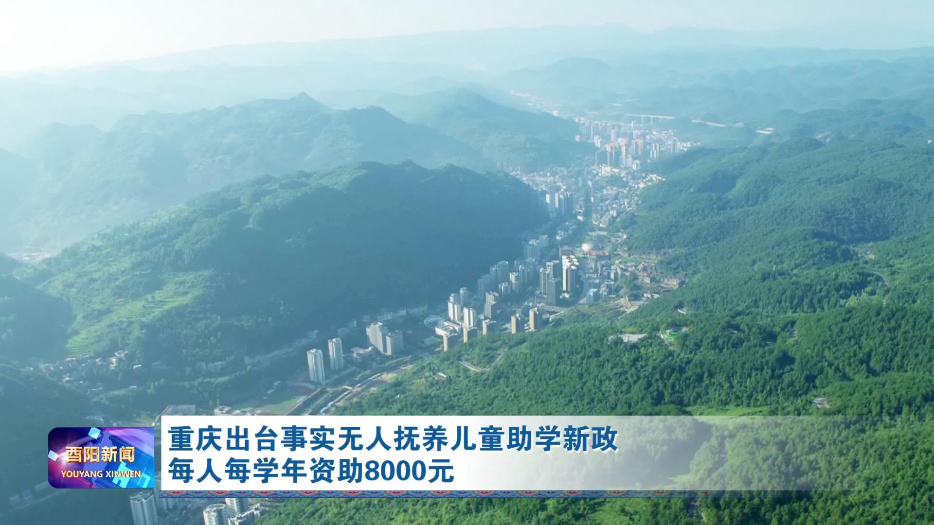 重庆出台事实无人抚养儿童助学新政 每人每学年资助8000元
