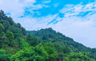 市区协作 共护中梁山生态