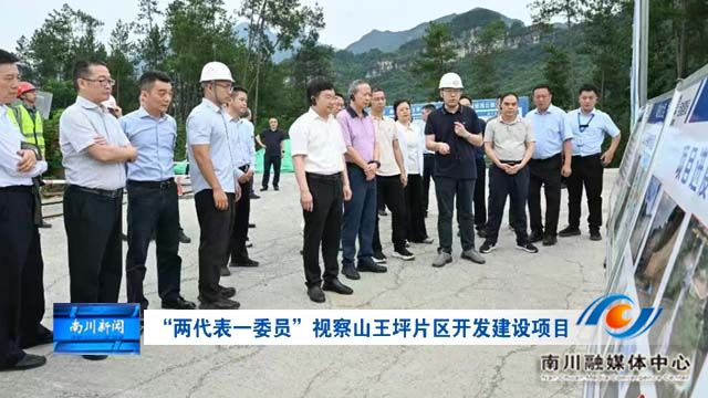 “两代表一委员”视察山王坪片区开发建设项目
