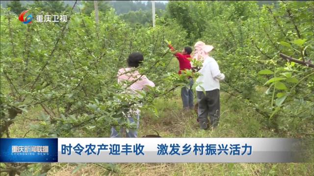时令农产迎丰收 激发乡村振兴活力