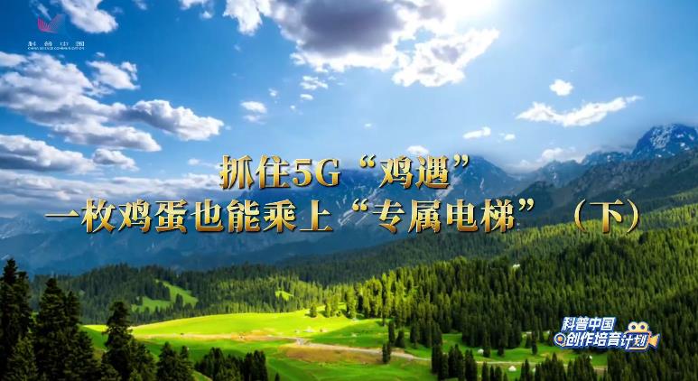 【科技赋能——解锁中国乡村振兴的科技密码】抓住5G“鸡遇”，一枚鸡蛋也能乘上“专属电梯”（下）
