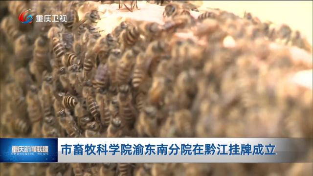 市畜牧科学院渝东南分院在黔江挂牌成立