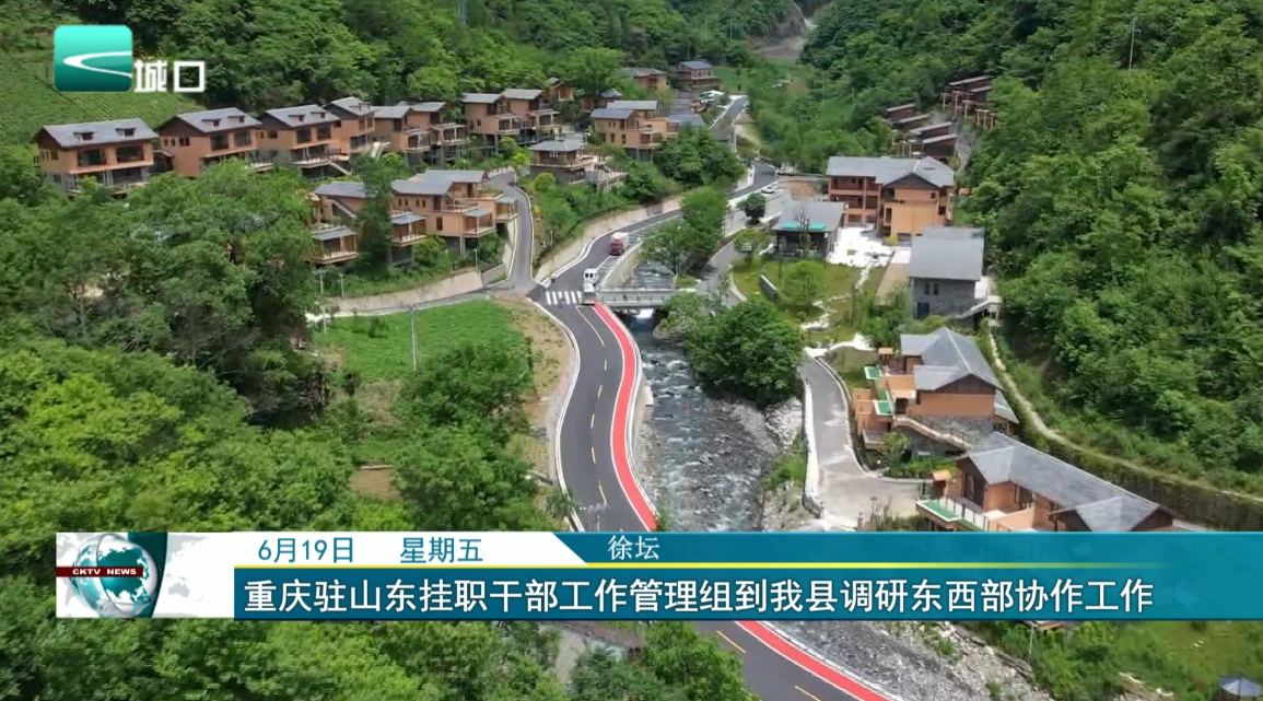 重庆驻山东挂职干部工作管理组到我县调研东西部协作工作