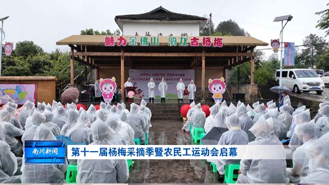 第十一届杨梅采摘季暨农民工运动会启幕