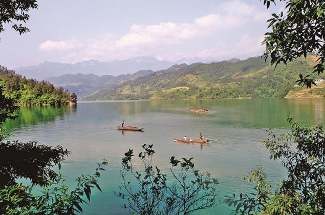 重庆武隆芙蓉湖国家湿地公园：湿地焕绿 苍鹭复归