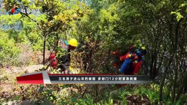 三名男子进山采药被困 多部门12小时紧急救援