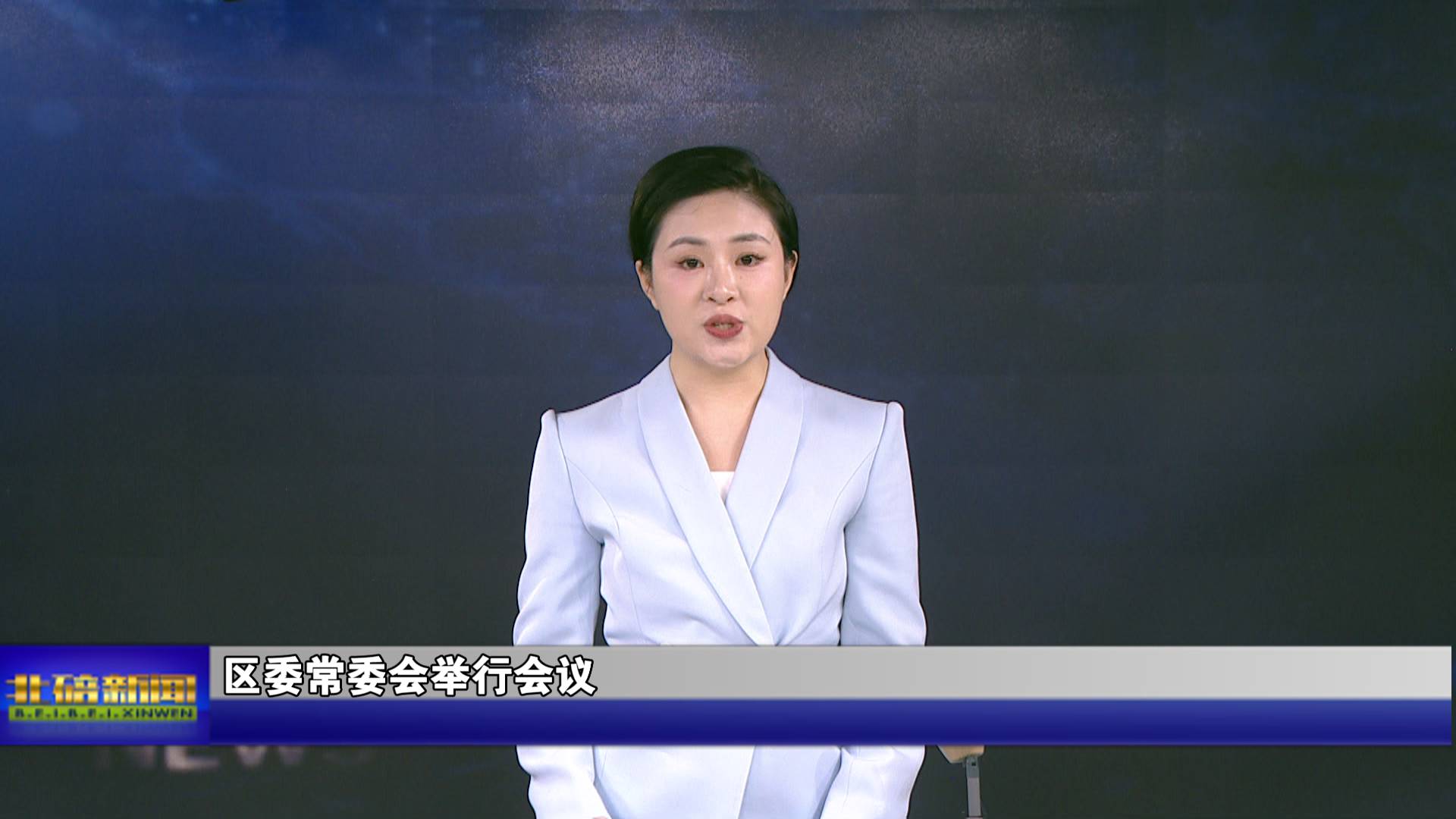 区委常委会举行会议