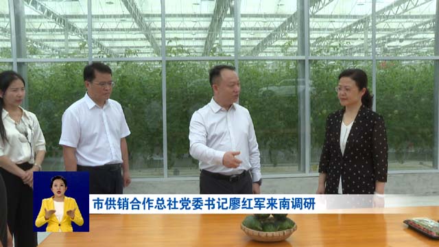 市供销合作总社党委书记廖红军来南调研