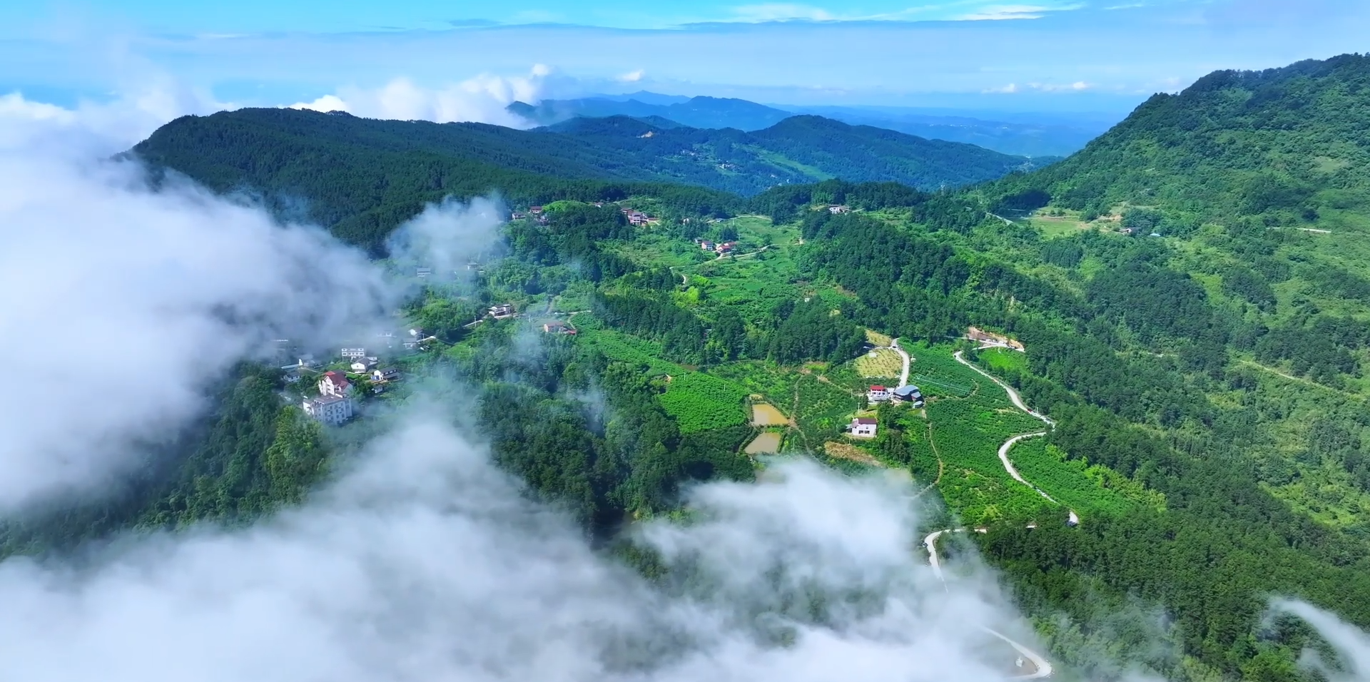 忠县新生街道天池村九九红桃李园。拍摄：张圳阳.png