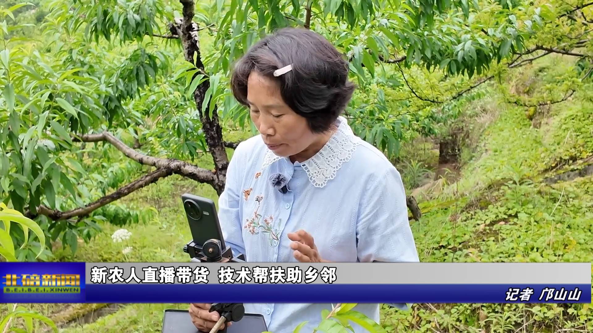 新农人直播带货 技术帮扶助乡邻