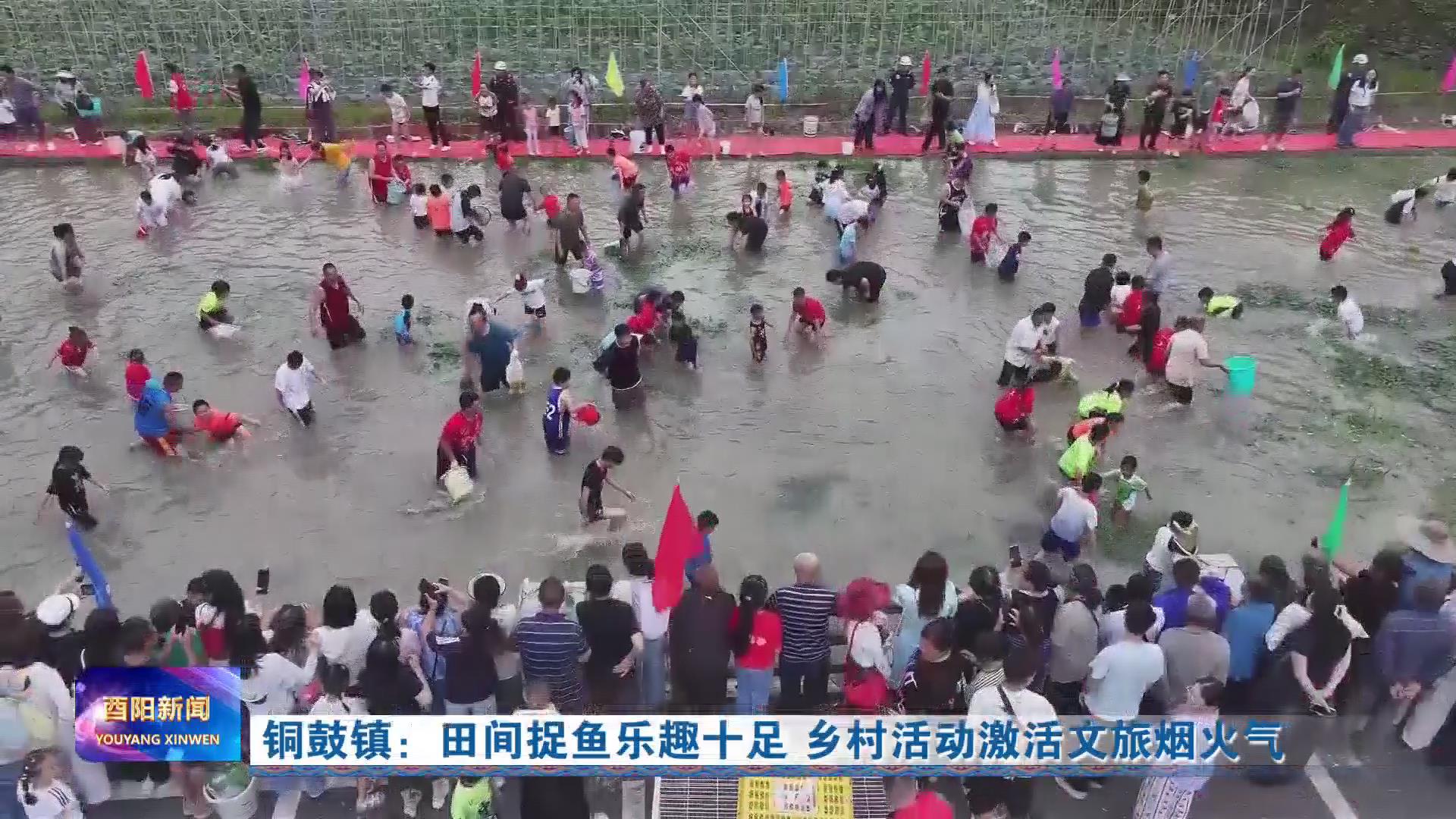 铜鼓镇：田间捉鱼乐趣十足 乡村活动激活文旅烟火气
