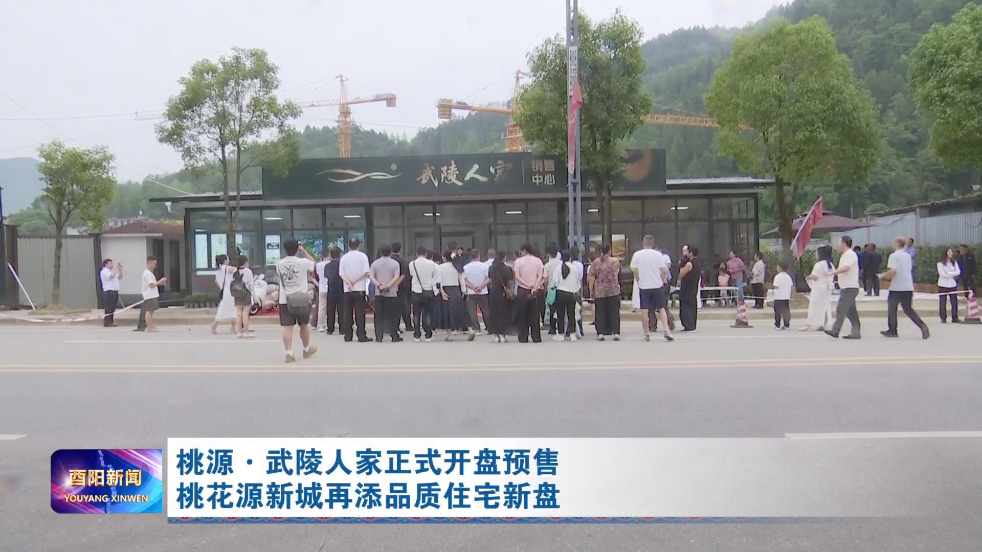 桃源·武陵人家正式开盘预售 桃花源新城再添品质住宅新盘
