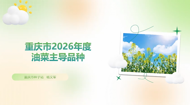 【种植技术】重庆市2026年度油菜主导品种