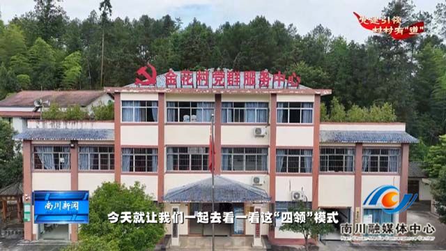《党建引领 村村有道》金花村：党建引领聚合力 四领赋能壮发展