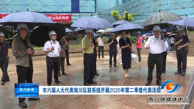 市六届人大代表南川区联系组开展2026年第二季度代表活动