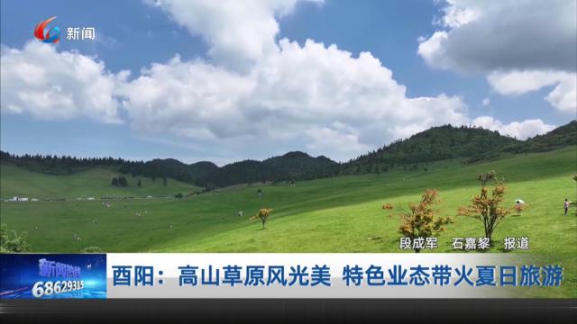  酉阳：高山草原风光美 特色业态带火夏日旅游